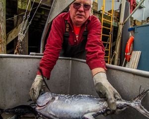 fisherman in a red shirt presenting a large fish