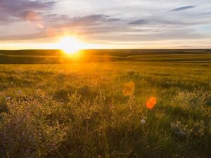 Sun sets on an open prairie field.