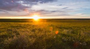 Tallgrass Prairie National Preserve The Nature Conservancy