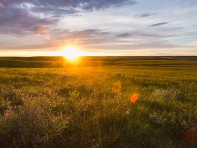 Sun setting on the horizon of vast green prairie