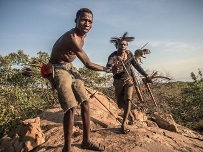 Hunters kill a hyrax with hand-made weapons.