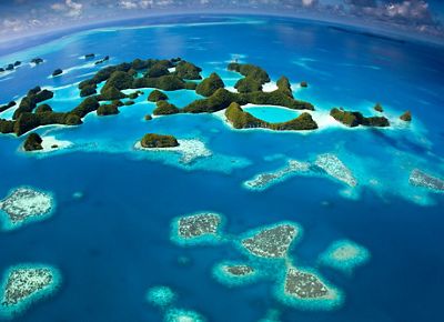 coral reefs