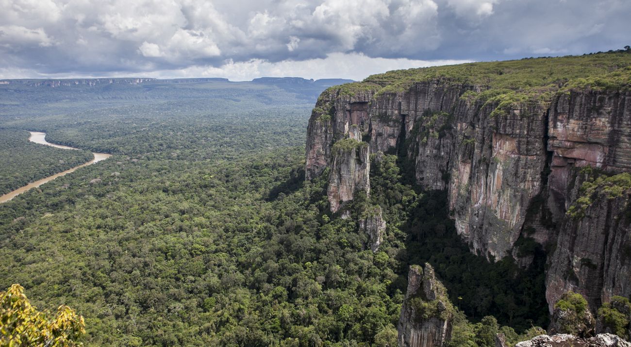 Colombia forest