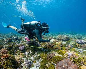 marine monitoring