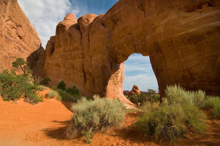 Golden sandstone formations frame a blue sky in Arches National Park.