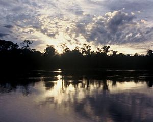 View of the sunset from the river in the Amazon