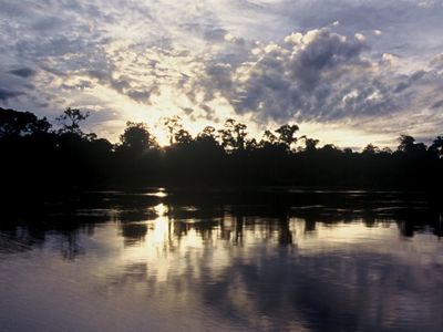 Pacaya-Samiria Reserve, Peru.