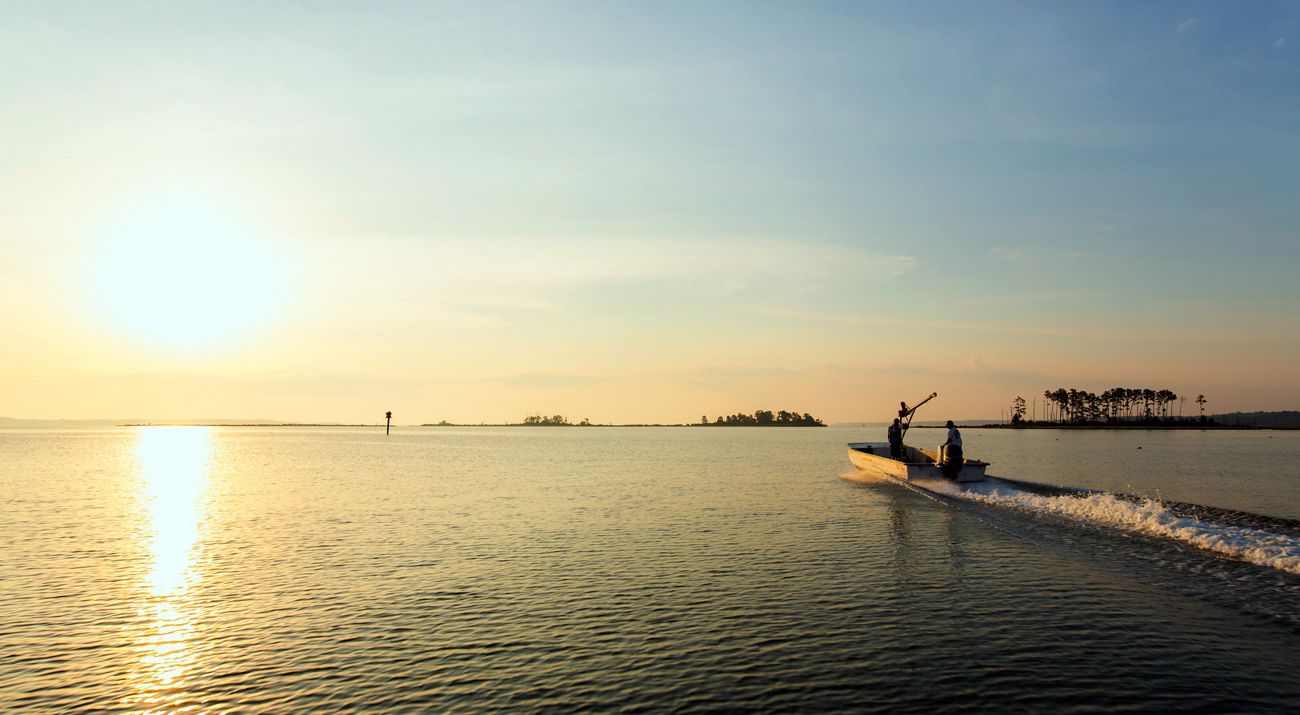 A looping video showing a man driving a boat to and from an oyster bed, and pulling oyster cages out of the water and into the boat.
