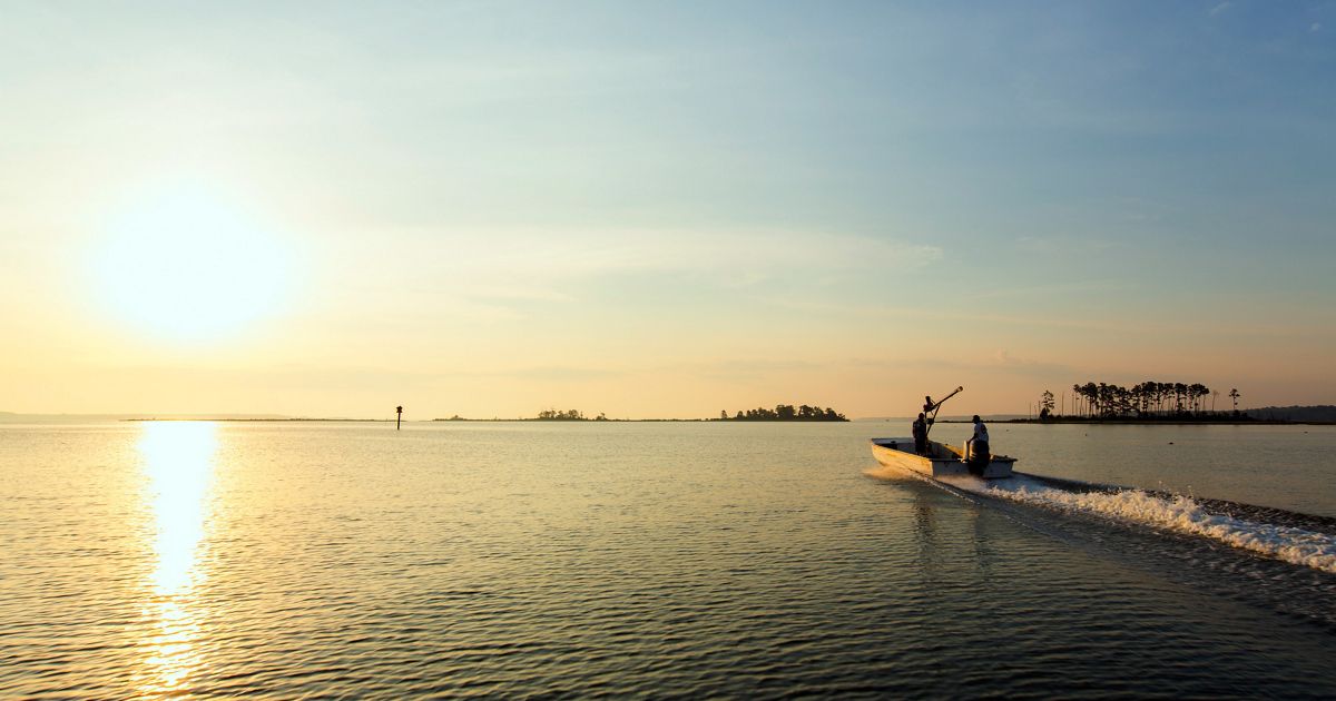 Contact The Nature Conservancy in Maryland and DC
