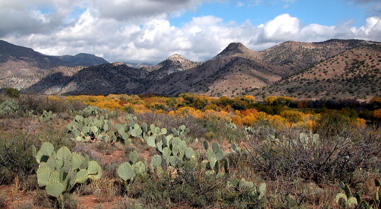 New Mexico climate change 490x250
