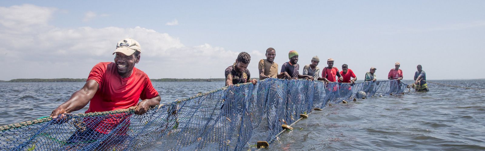 A line of men stand waist-deep in water and pull on a large fishing net.