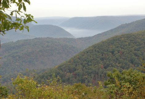A view of mountain tops stretching across the horizon covered in green and orange trees.