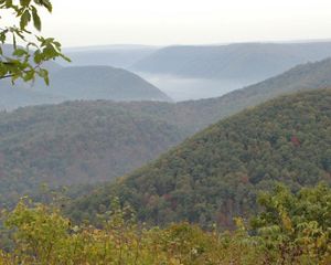 An overlook viewing of forested covered hills with mist rising from the valleys.