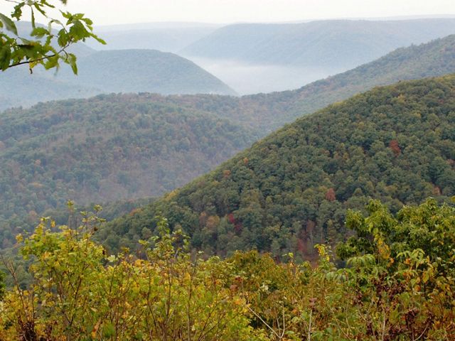 Rolling mountain ridges extend to the horizon blanketed in mist. In the foreground, leaves are just beginning to show fall color. In the background, heavy fog sits in a deep valley.