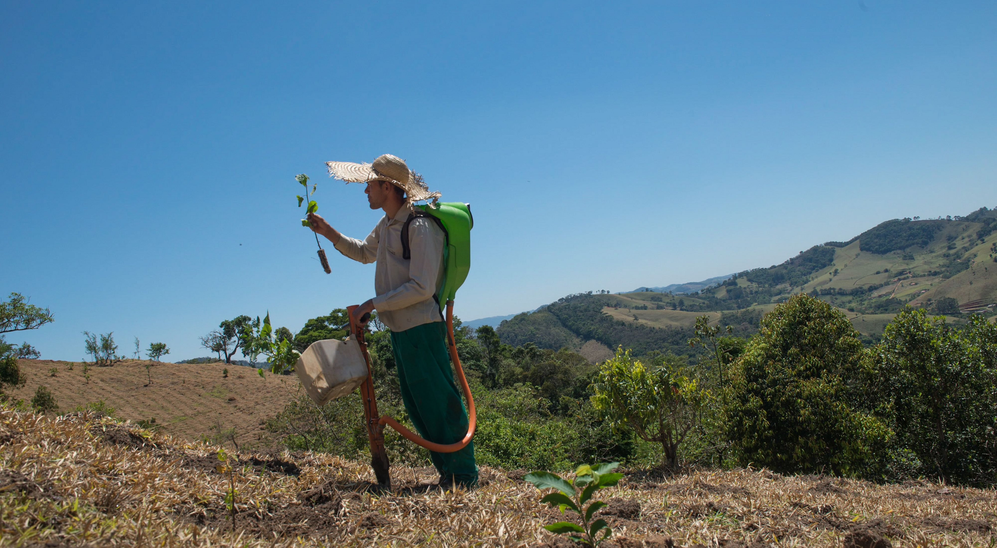 Vinicius Uchoa, a local tree planter, is helping reforest the Mantiqueria Range of Brazil's much-depleted Atlantic Forest. 