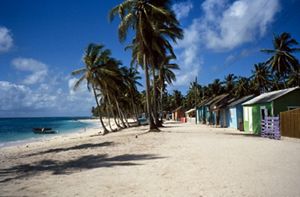 Colorful homes on a palm tree-lined beach in the Dominican Republic.