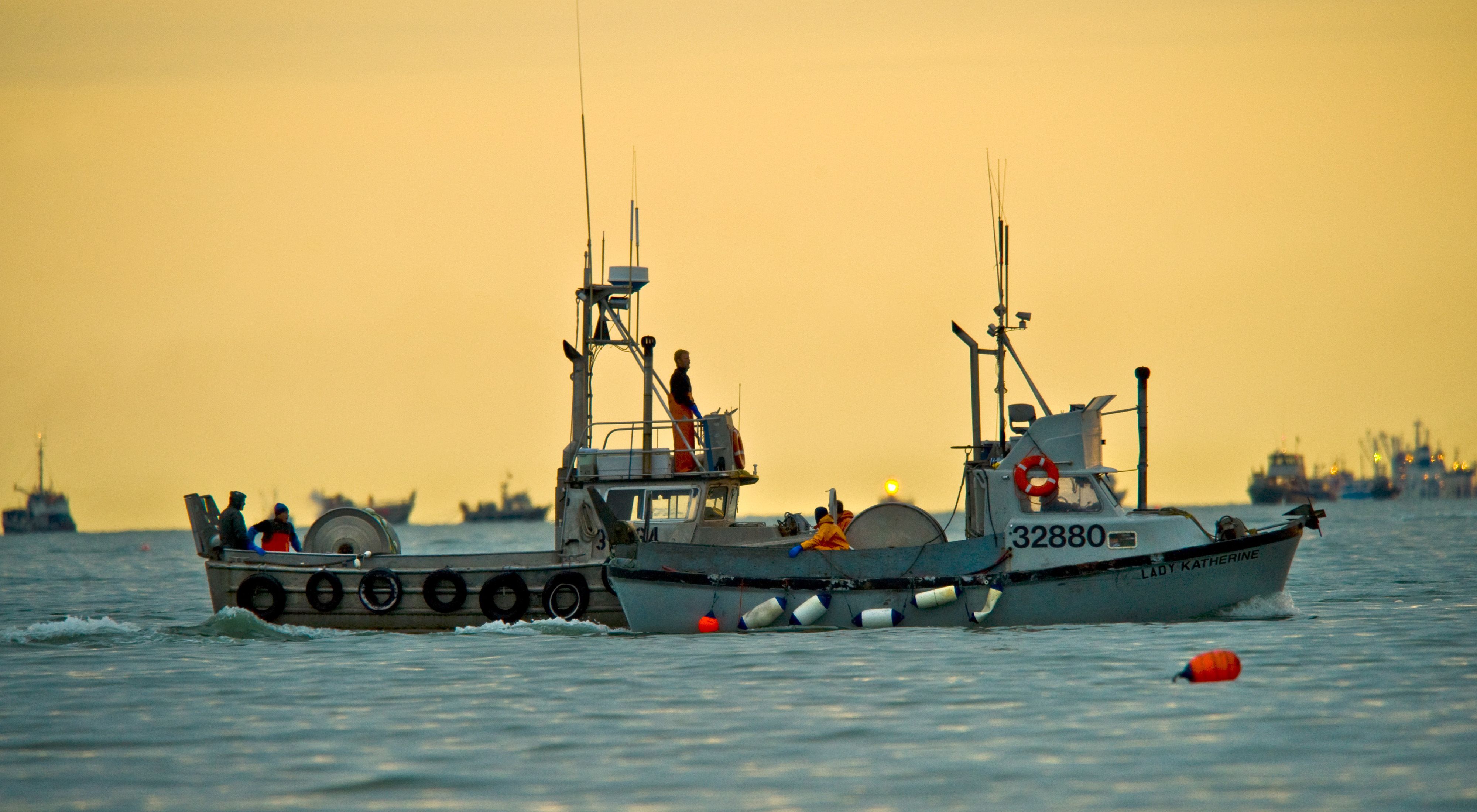 Commercial fishing boats at sea during sunset