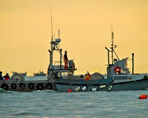 Commercial fishing boats in Alaska's Bristol Bay.