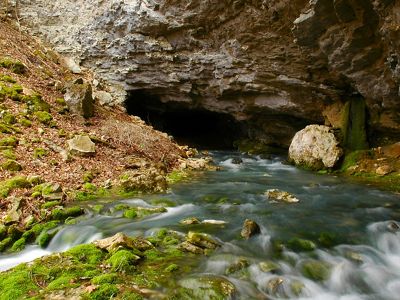 A rocky cave opening with water flowing from it.