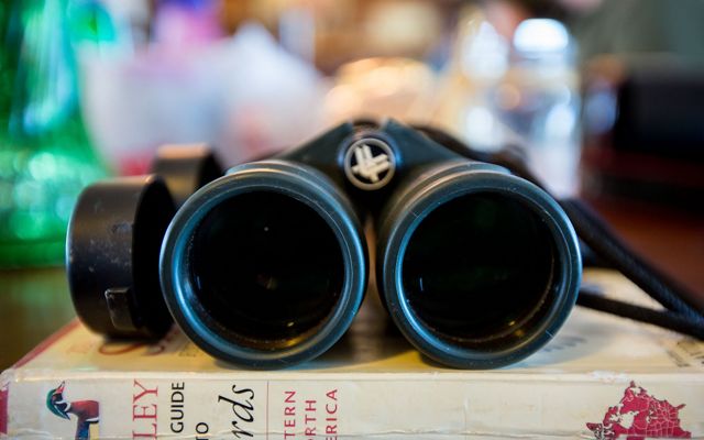 Binoculars and a Sibley Field Guide to Birds
