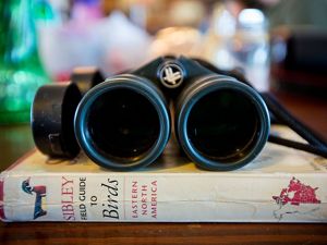 binoculars and birding book