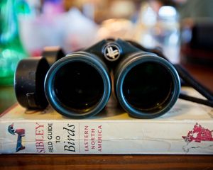 Binoculars and a Book at Mad Island Swamp Nature Preserve