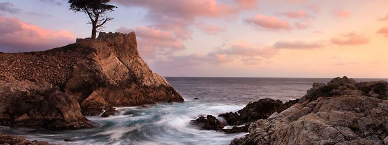Sunset over lone cypress tree along rocky coastline.