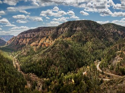 Landscape of a mountain with hundreds of ponderosa pine trees and a blue sky with little white clouds above.
