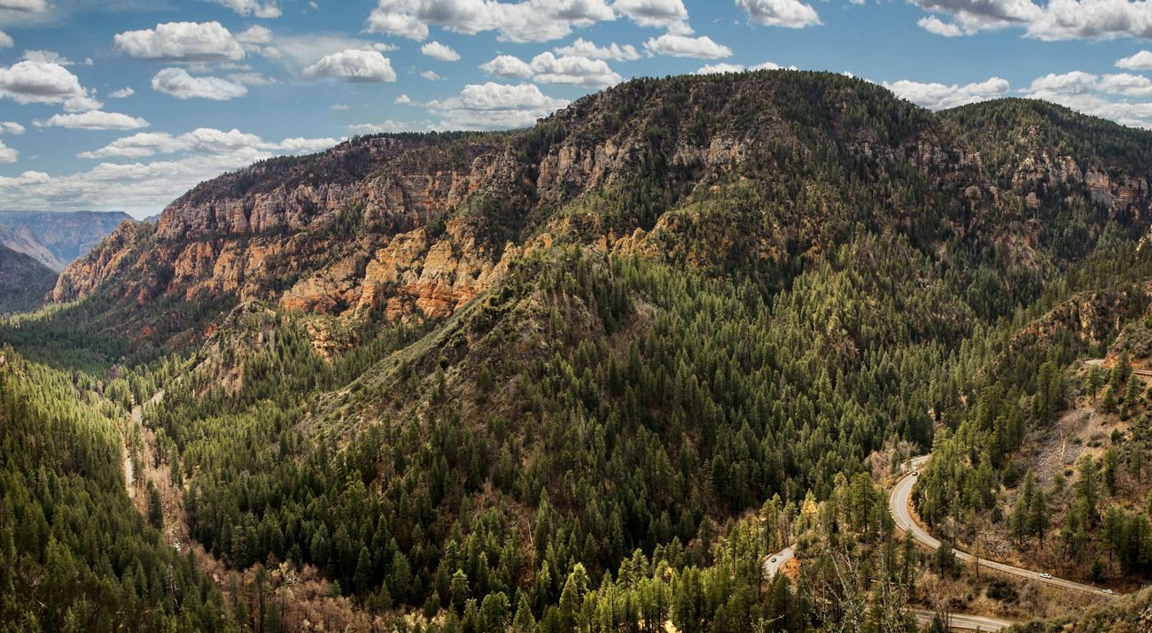 Landscape of a mountain that is full of large, green ponderosa pine pine trees with a blue sky and clouds above it.