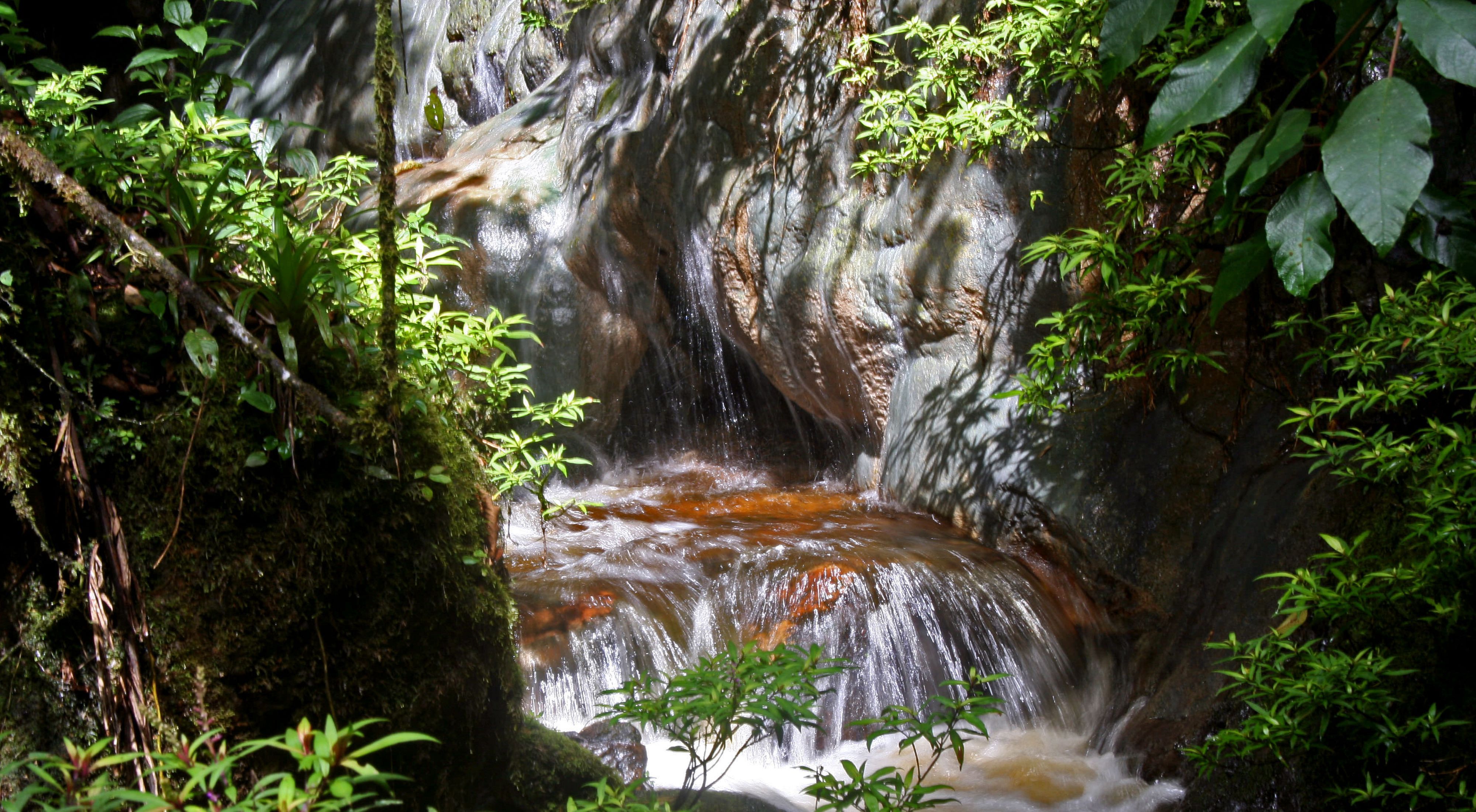 Small creek in Colombia