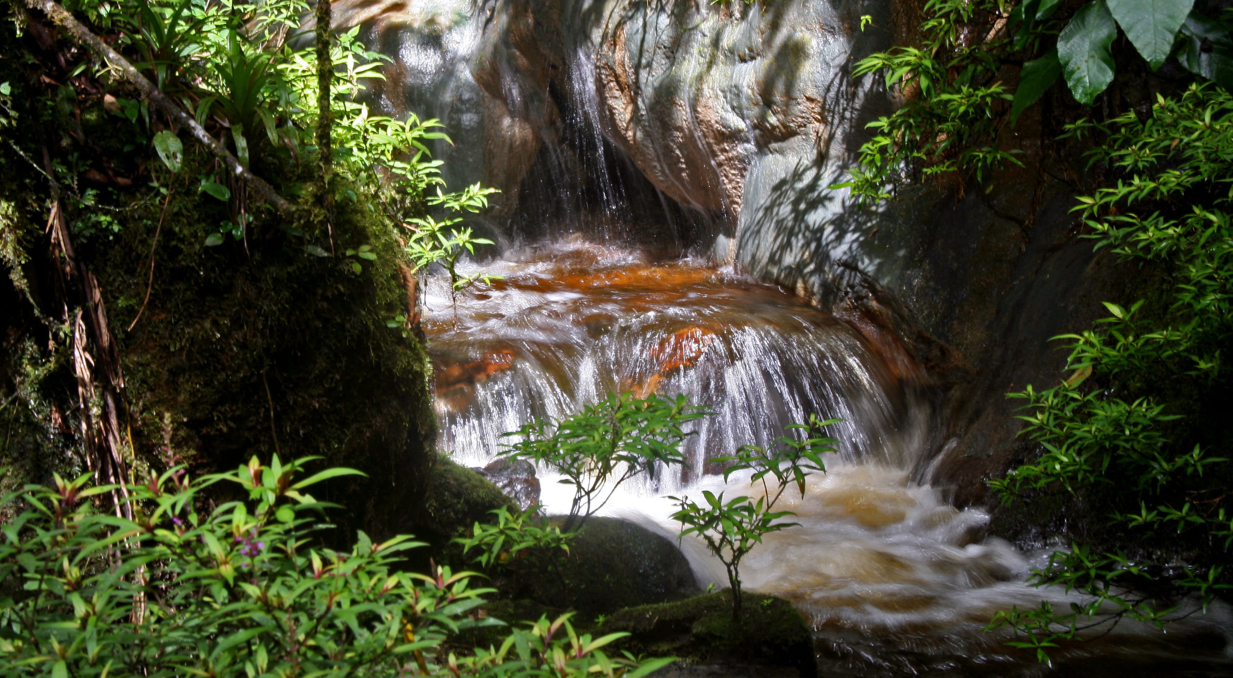  El agua dulce fluye por un pequeño arroyo en la región andina de Colombia, en Sudamérica