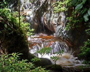 Chingaza National Park