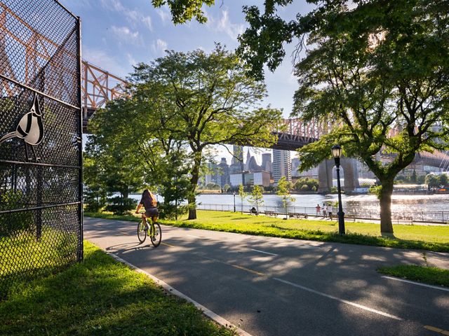 A person riding a bike away from the camera on a bike path next to a river, with a bridge and city skyline in the backgraound.