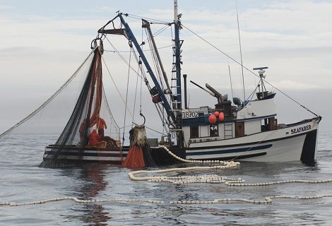 A fishing boat with nets deployed floats in the ocean.