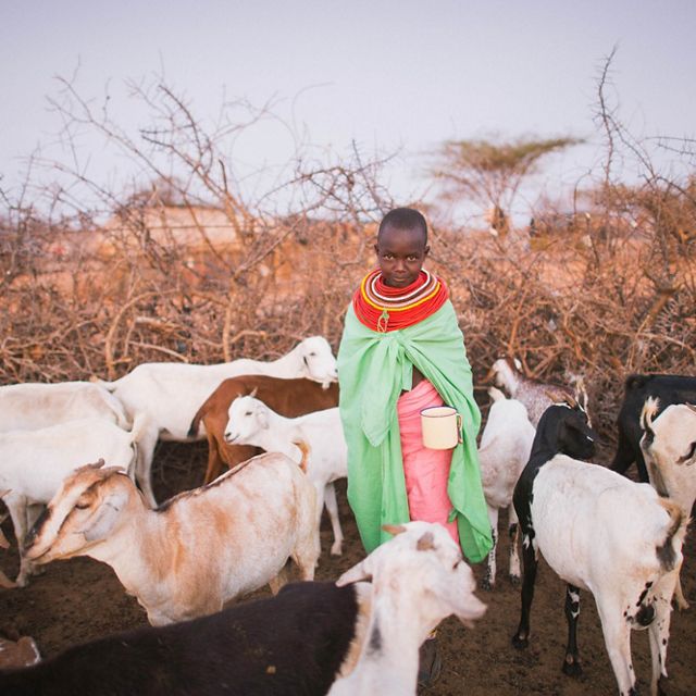 Samburu child with goats at West Gate Conservancy in No