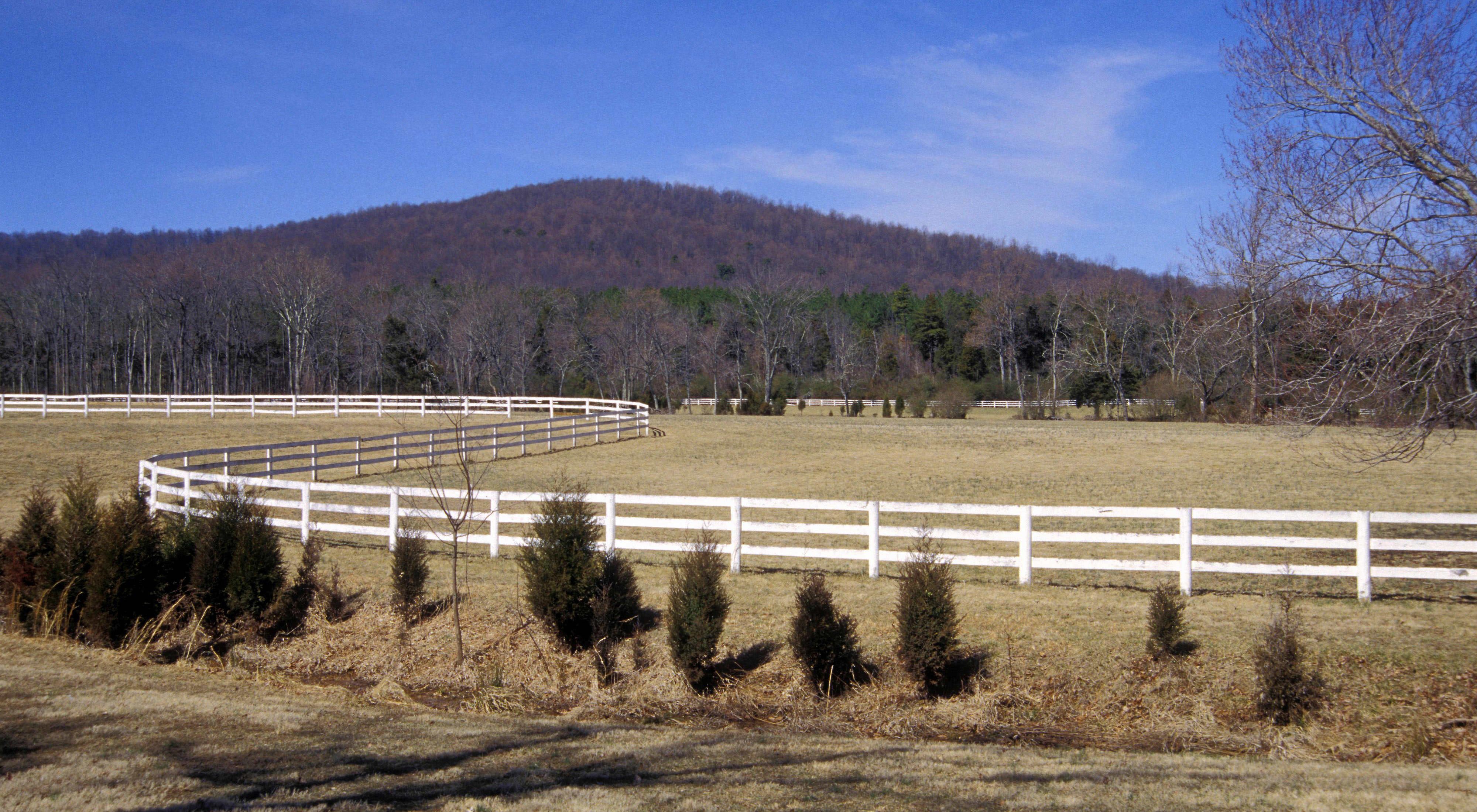A white fence curves in an ess through a pasture. A tall mountain rises in the background.