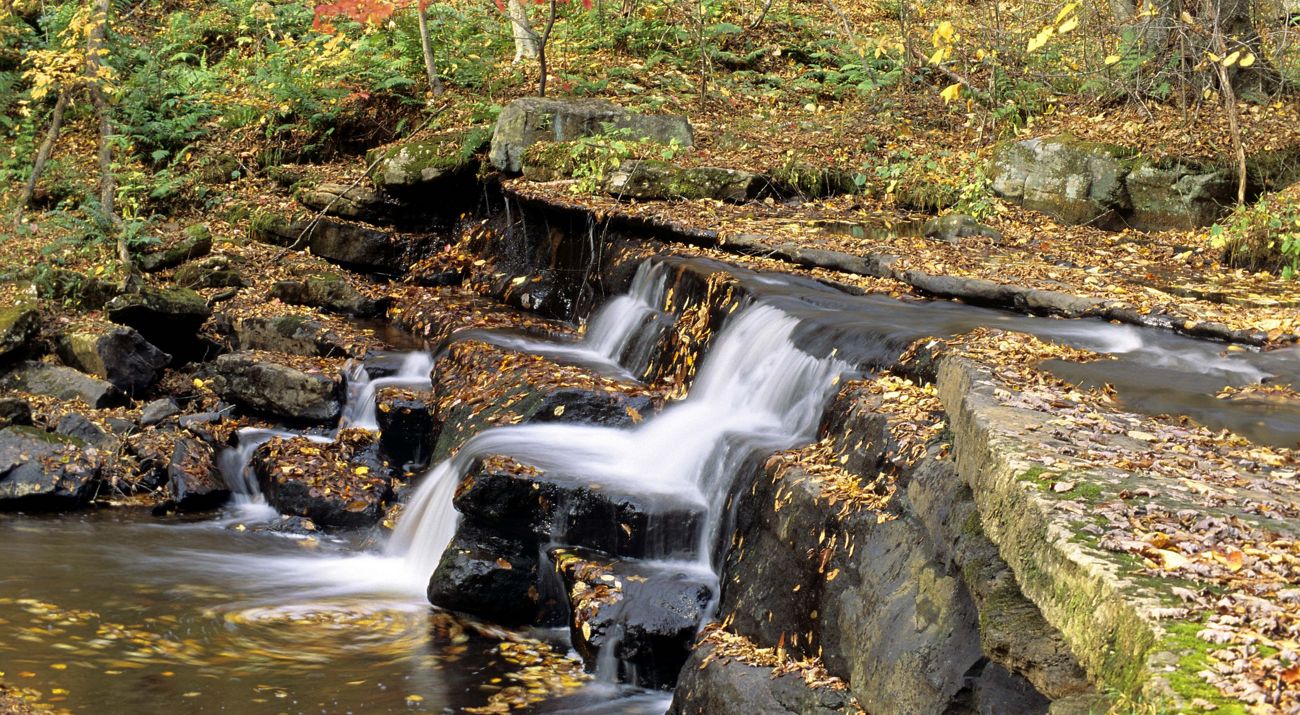 Water rushes over rocks creating a series of short waterfalls on the Clinch River. Yellow leaves swirl in a pool created by the water.