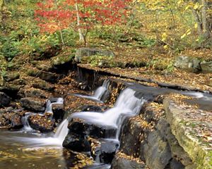 Water rushes over rocks creating a series of short waterfalls on the Clinch River. Yellow leaves swirl in a pool created by the water.