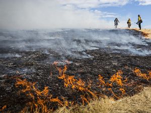 Three fireworker stand at the edge of a burning prairie