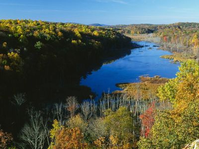 Pools of dark blue water surrounded by trees and shrubs in fall color.
