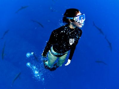Sharks pass below a free diver