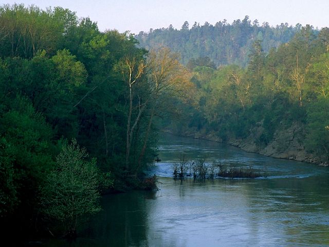 A river with a rocky shoreline runs through an autumnal forest.
