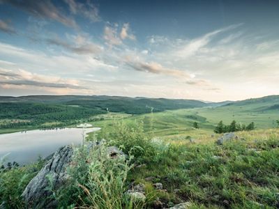 A view of a lush Mongolian countryside.