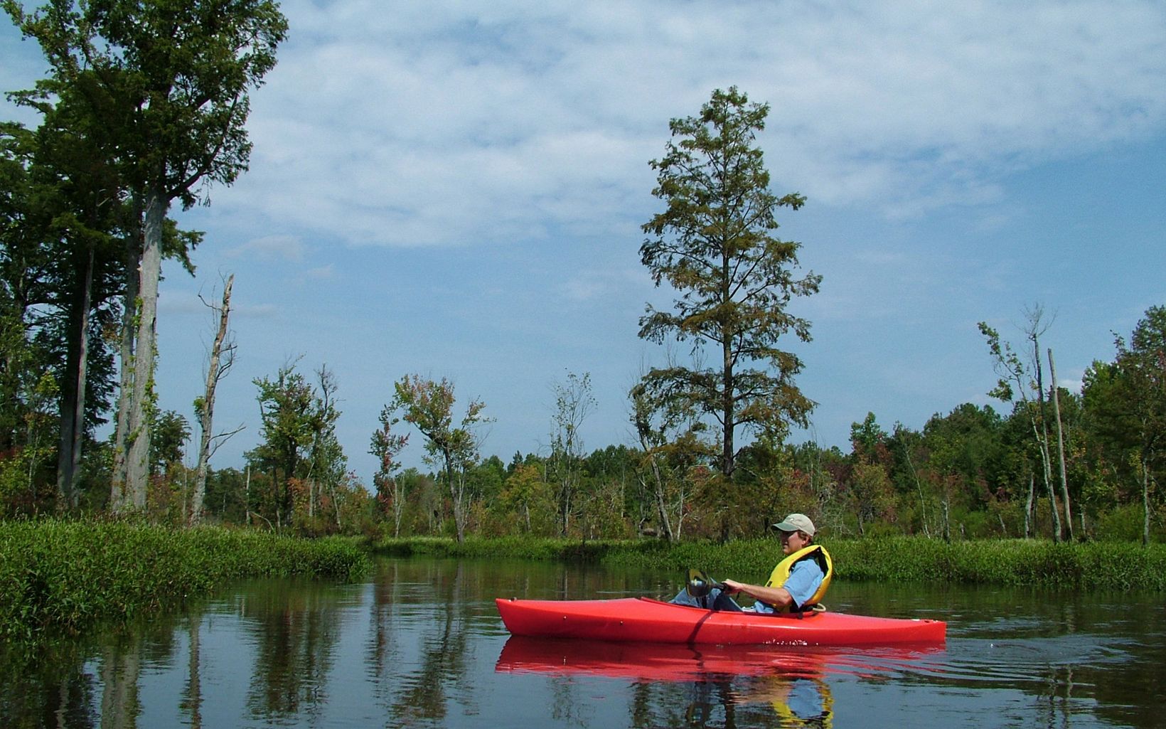 A man in a yellow life vest floats in a red kayak. Green floating vegetation lines the banks with tall trees in the background.