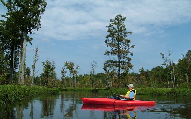 A man wearing a yellow life vest sits in a red kayak along a flat and calm blackwater river. 