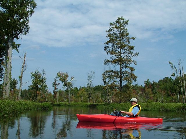 A man wearing a yellow life vest sits in a red kayak along a flat and calm blackwater river.