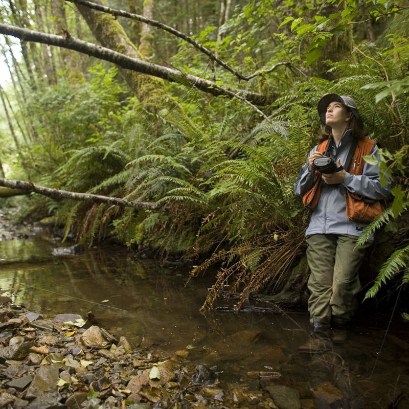 Mujer observa el bosque.