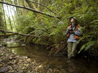 Liane Davis enters observations into an electronic data recorder from a stream that feeds into Ellsworth Creek, a TNC project site at Willapa Bay in Washington.
