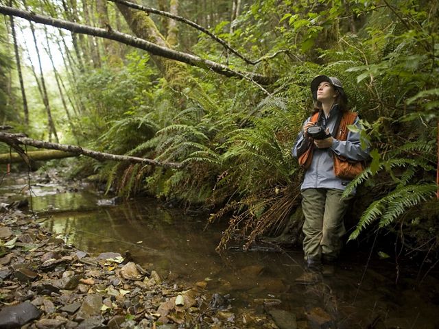 Liane Davis enters observations into an electronic data recorder from a stream that feeds into Ellsworth Creek, a TNC project site at Willapa Bay in Washington. 