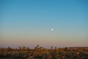 A full moon rising over one of the mitigation properties in Lancaster, California. 